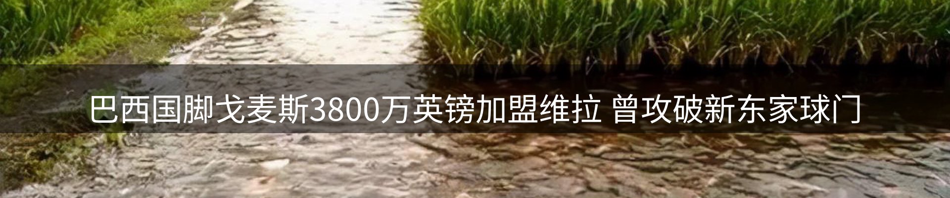 内页banner